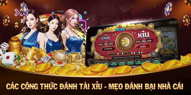 bet88-Đặc quyền thưởng phát từ nhà cái uy tín!